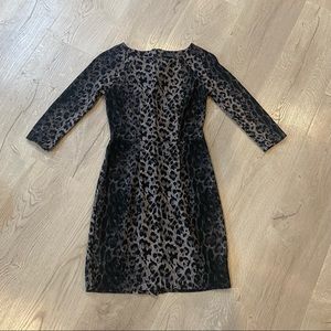 The Limited Leopard Print Bodycon Dress